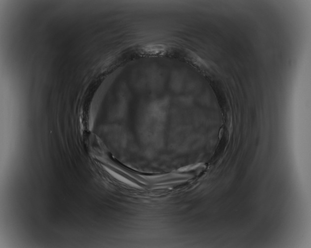 X0000084531394200703231642