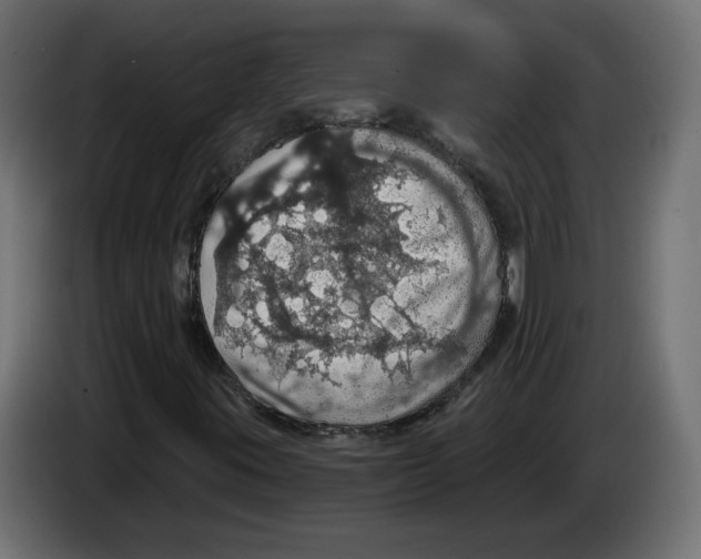 X0000084531395200703231642