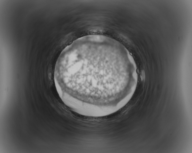 X0000084531396200703231642