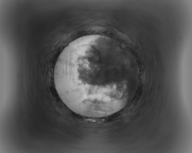 X0000084531397200703231642