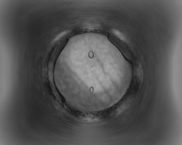 X0000084531398200703231642