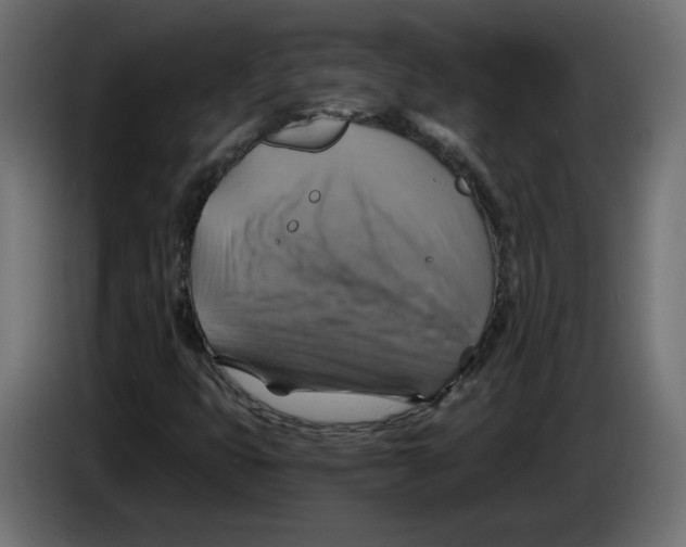 X0000084531399200703231642