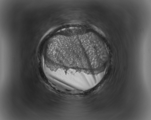 X0000084531400200703231642
