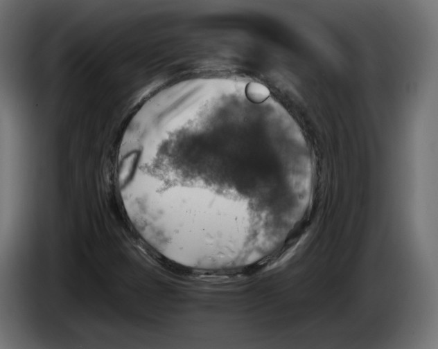 X0000084531401200703231642