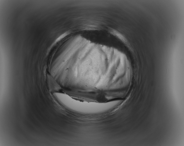 X0000084531402200703231642
