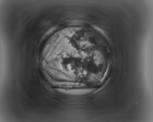 X0000084531403200703231642