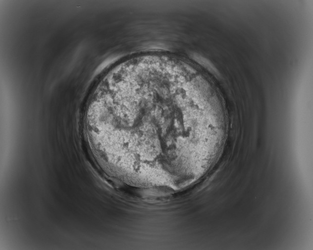 X0000084531404200703231642