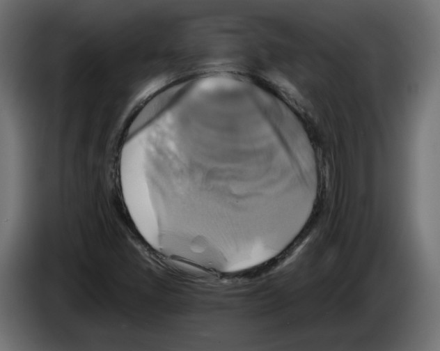 X0000084531405200703231642