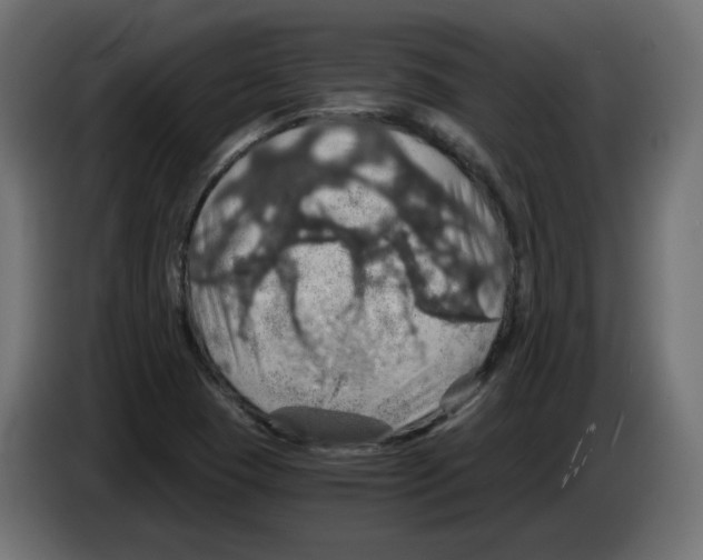 X0000084531409200703231642