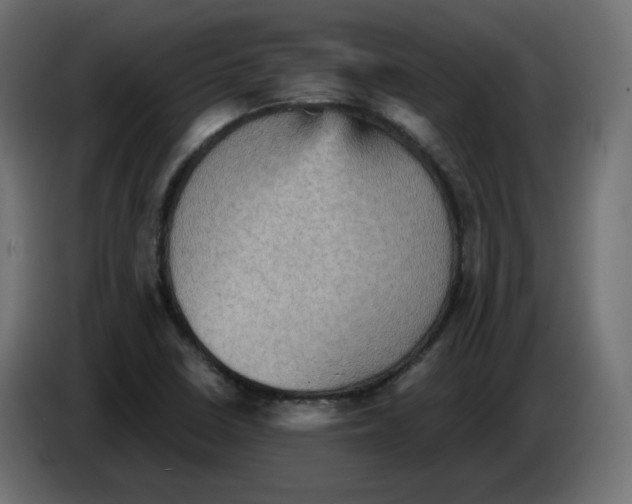 X0000084531410200703231642