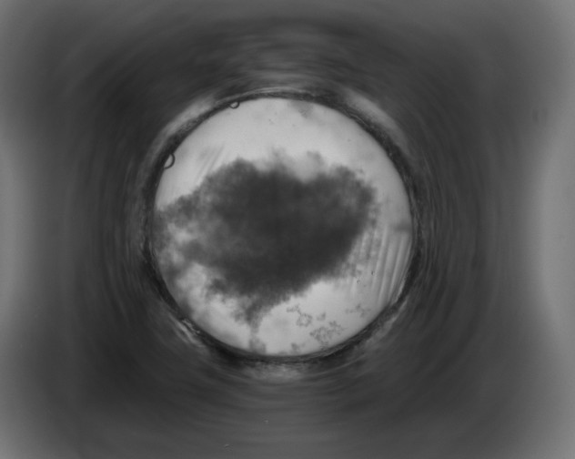 X0000084531411200703231642