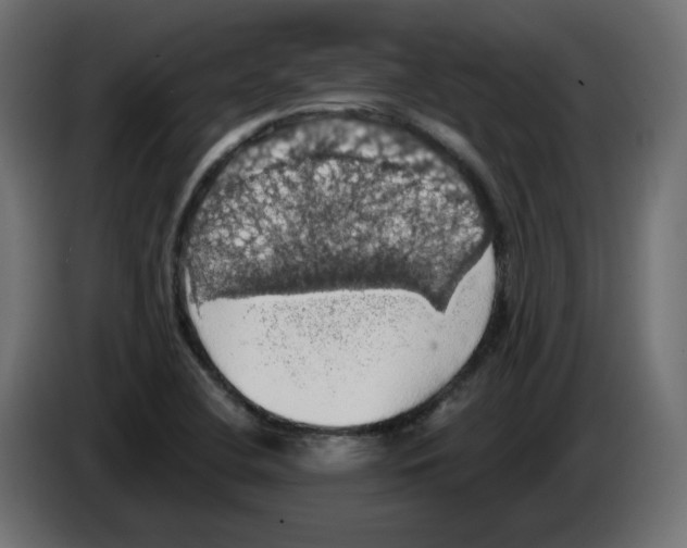 X0000084531412200703231642