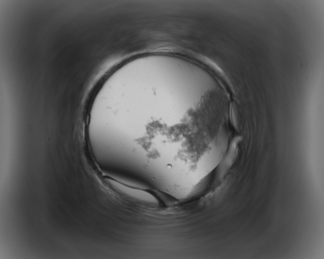 X0000084531414200703231642