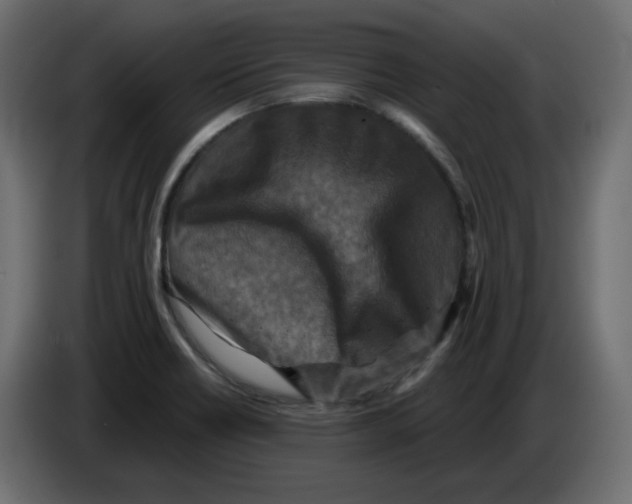 X0000084531418200703231642