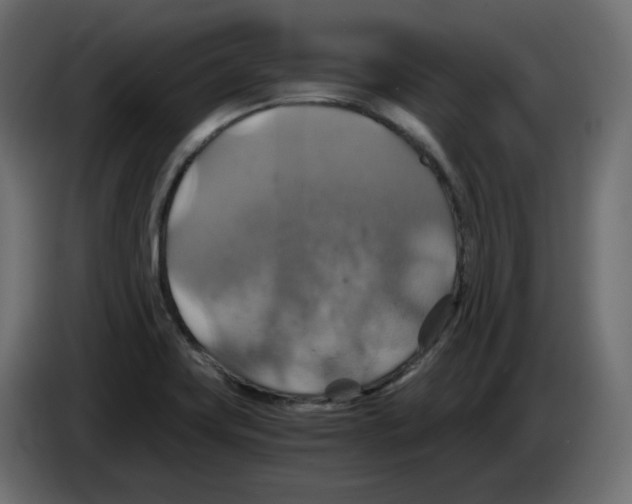 X0000084531419200703231642