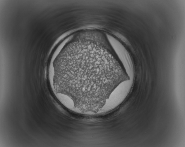 X0000084531420200703231642