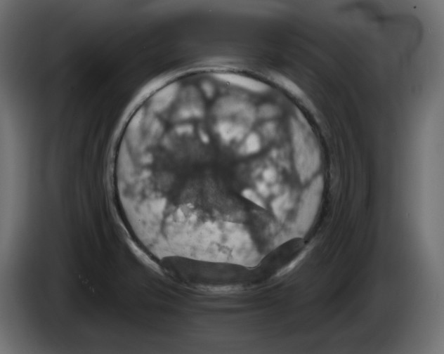 X0000084531421200703231642