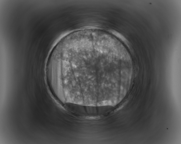 X0000084531423200703231642