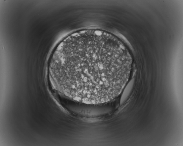 X0000084531424200703231643