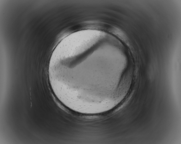 X0000084531425200703231643