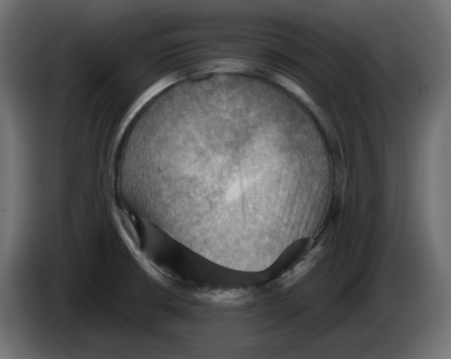 X0000084531426200703231643