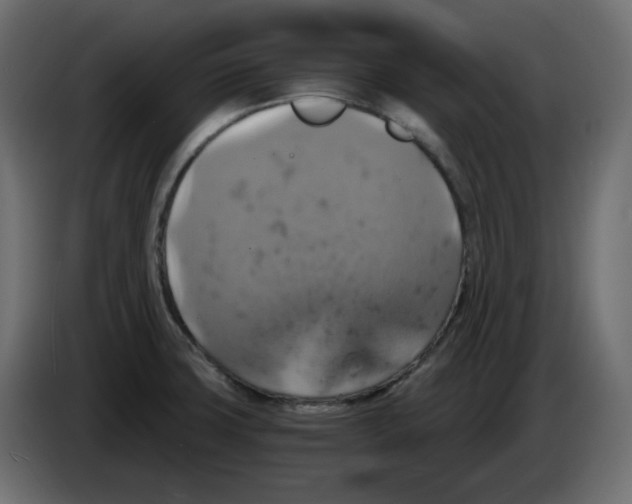 X0000084531427200703231643
