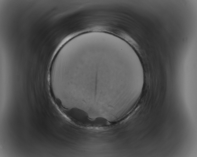 X0000084531428200703231643