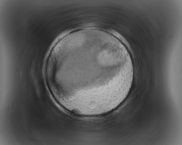 X0000084531429200703231643