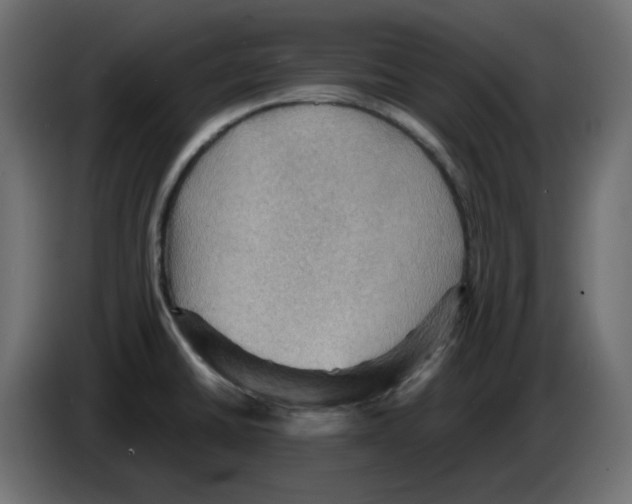 X0000084531430200703231643