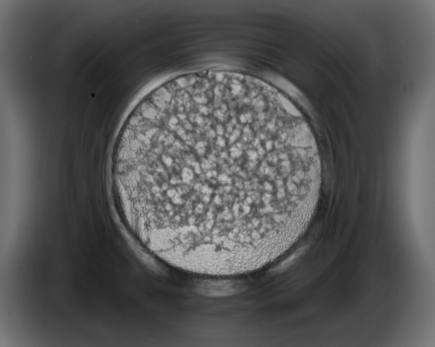 X0000084531431200703231643