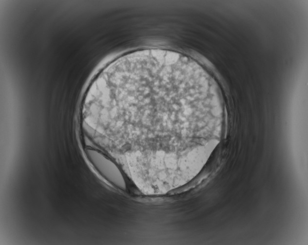 X0000084531432200703231643