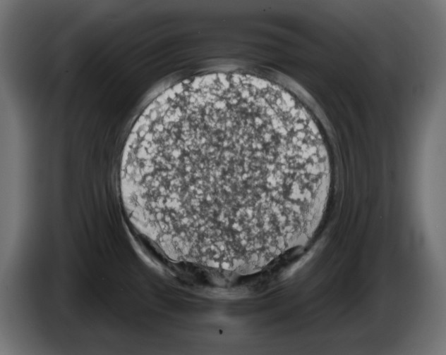 X0000084531433200703231643