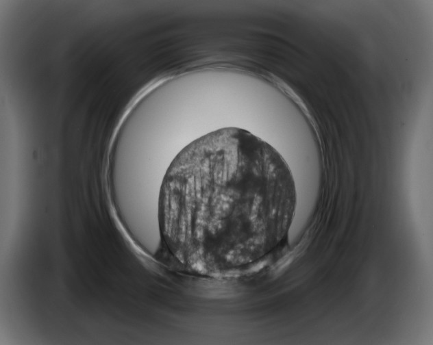 X0000084531434200703231643