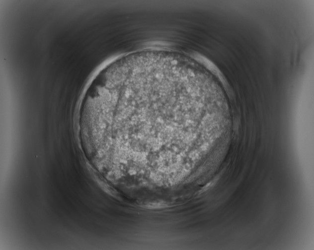 X0000084531435200703231643