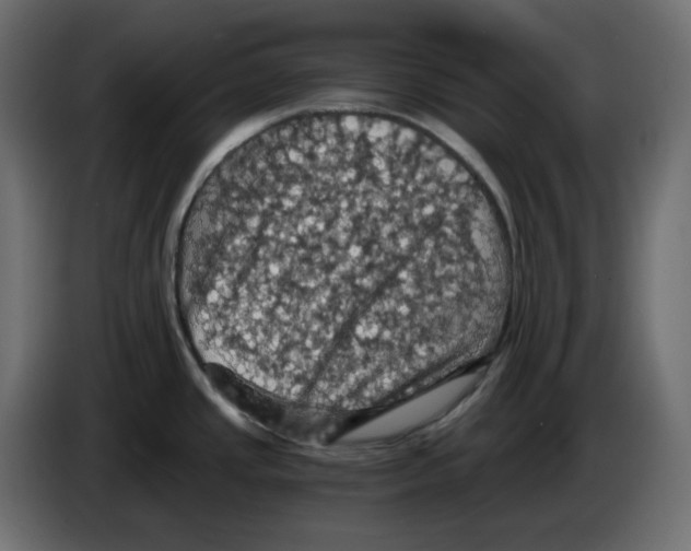 X0000084531437200703231643