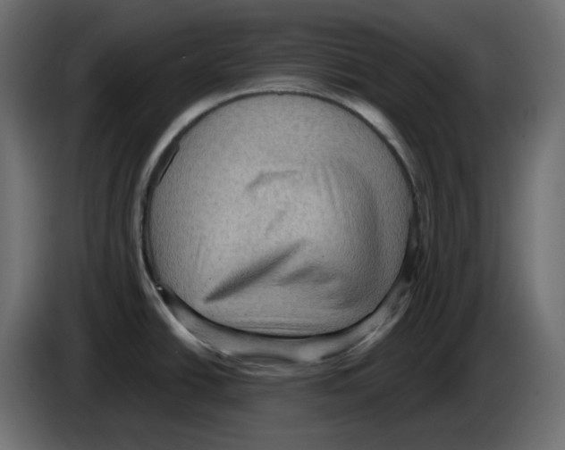 X0000084531438200703231643