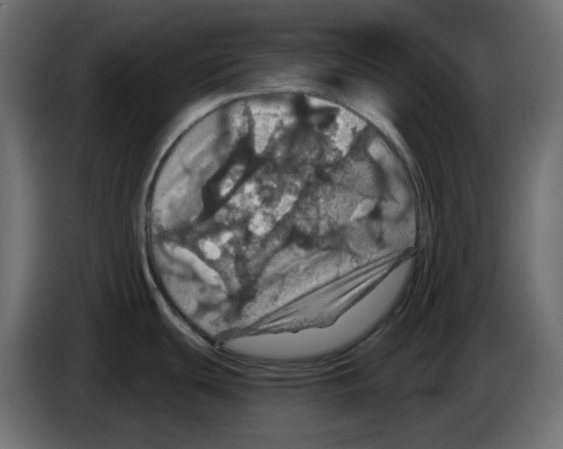 X0000084531439200703231643