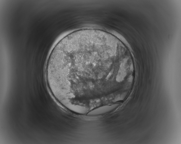 X0000084531440200703231643