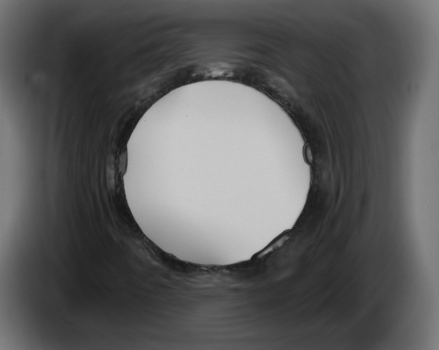 X0000084531442200703231642