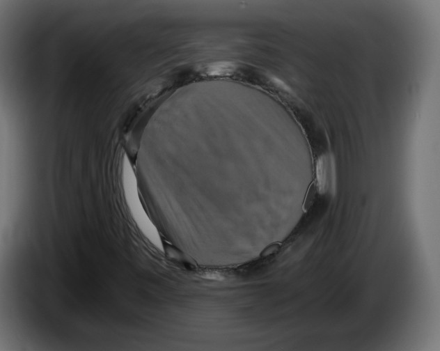 X0000084531443200703231642