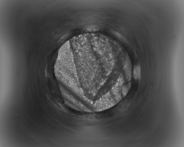 X0000084531444200703231642