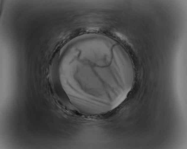 X0000084531445200703231642