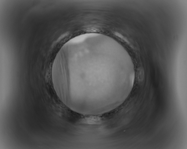 X0000084531446200703231642