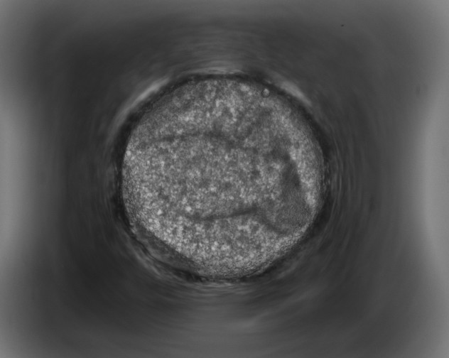 X0000084531448200703231642