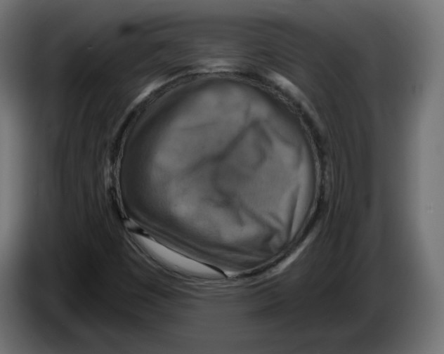 X0000084531449200703231642
