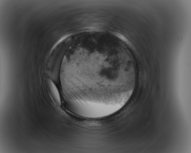 X0000084531450200703231642