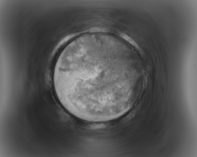 X0000084531454200703231642