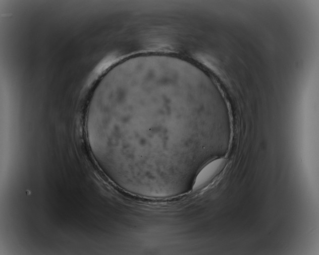 X0000084531455200703231642