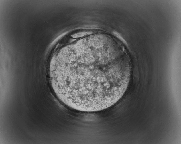 X0000084531456200703231642