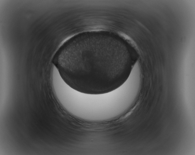 X0000084531457200703231642